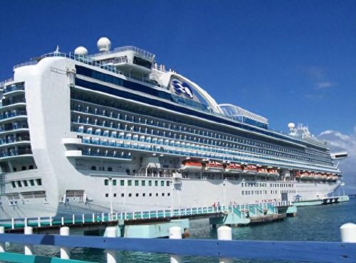 世界最豪华的游轮(爱达魔都号)插图8 世界最豪华的游轮(爱达魔都号)插图8