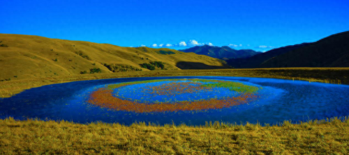 理塘县大型企业排名前十(理塘县企业排名前十)插图1 理塘县大型企业排名前十(理塘县企业排名前十)插图1