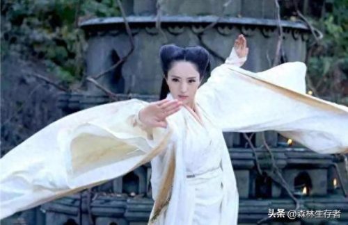 神雕侠侣的武功排名前十(神雕侠侣前50武功排名)插图16 神雕侠侣的武功排名前十(神雕侠侣前50武功排名)插图16