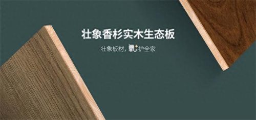 生态板十大品牌排行榜2023(生态板有哪10大品牌)插图5