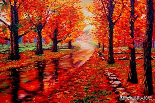 加拿大野外旅游排名前十(加拿大必去景点排名)插图 加拿大野外旅游排名前十(加拿大必去景点排名)插图