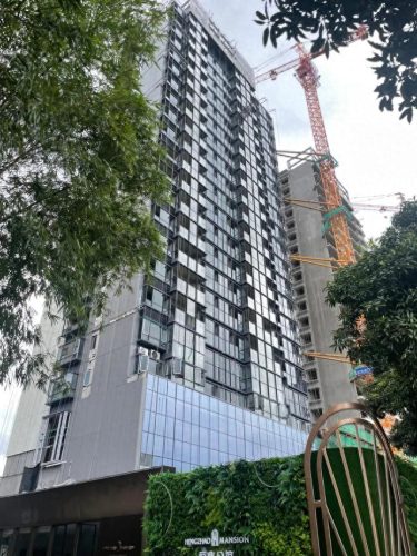 东莞市十大豪宅排行榜(东莞石龙镇十大鬼楼排名)插图3