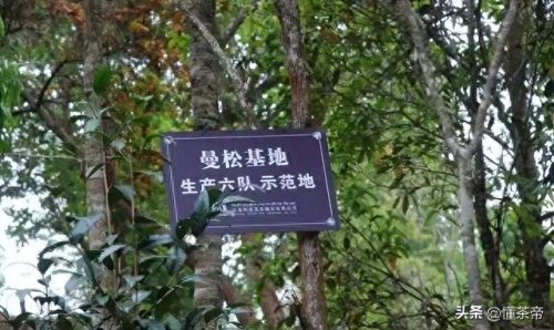 十大茶叶品牌排行榜普尔茶(中国最好的茶叶品牌)插图4