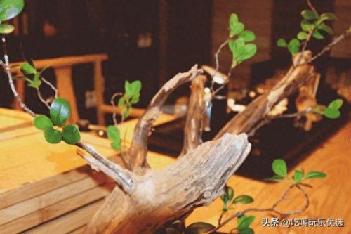 南京浦口洗浴十大排行榜(南京的洗浴排名)插图21