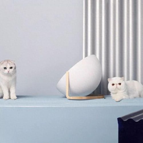 中国猫窝垫十大品牌排行榜(中国猫窝垫十大品牌)插图34 中国猫窝垫十大品牌排行榜(中国猫窝垫十大品牌)插图34