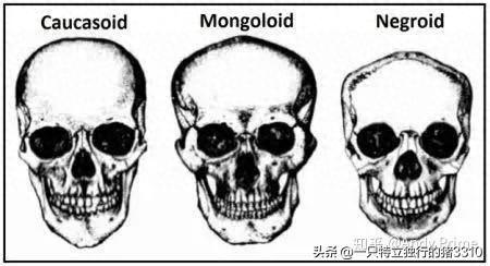 非洲最聪明国家排名前十(非洲美女最多的国家)插图2 非洲最聪明国家排名前十(非洲美女最多的国家)插图2