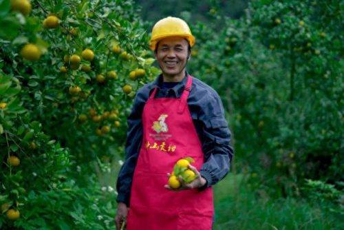 冬奥会水果排名前十(冬奥会创意水果)插图21 冬奥会水果排名前十(冬奥会创意水果)插图21