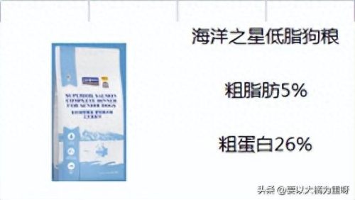 十大低脂处方狗粮排行榜(低脂狗粮哪个牌子最好)