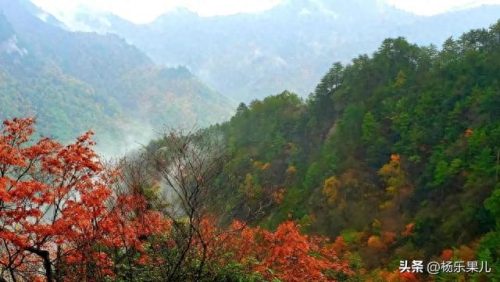 商洛市十大景区排行榜(淄博十大免费景区)插图35