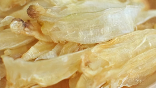 十大猛鱼排行榜前十名(小型猛鱼战斗力排行榜)