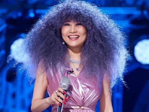 十大专业女歌手排行榜最新(网红歌手女名单)插图34