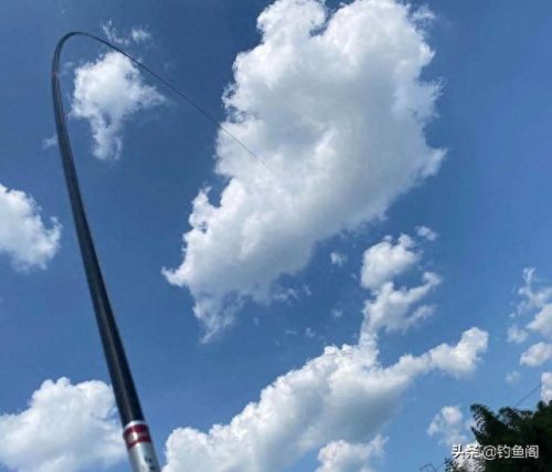 十大热卖鱼竿排行榜前十名(中国鱼竿十大名牌排名)插图2