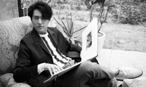 十大知名男明星排行榜中国(中国最火的十大男明星)插图8