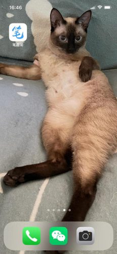 免费读小说软件哪个好用(十大免费看书app排行)插图4 免费读小说软件哪个好用(十大免费看书app排行)插图4