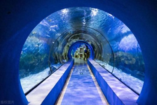 宁波景点十大排行榜(宁波人气排行景点)