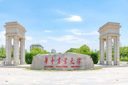 湖北各市高等教育排名前十(湖北市排名顺序)插图3