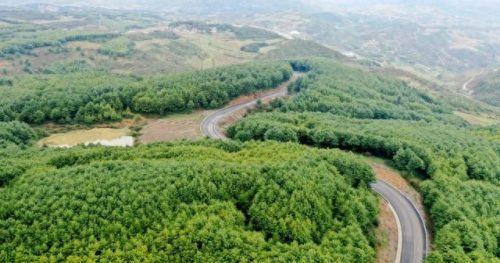 威宁家具公司排名前十(在威宁买家具去哪里)插图6 威宁家具公司排名前十(在威宁买家具去哪里)插图6