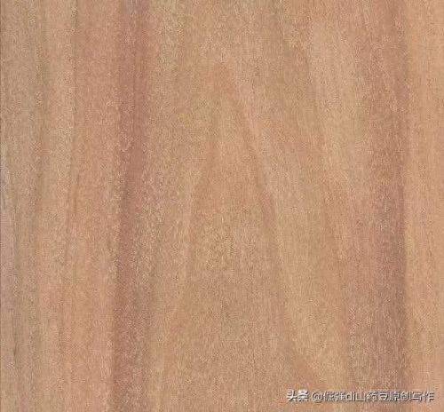 中国十大硬木头排行榜(最重的木头十大排名)插图