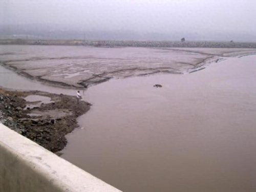 连云港钓鱼大师排名前十(侯德胜钓鱼大师)插图4 连云港钓鱼大师排名前十(侯德胜钓鱼大师)插图4