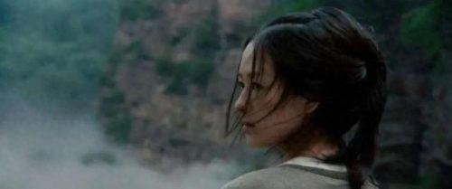 近十年十大武侠电影排行榜(历年十大武侠电影)插图35