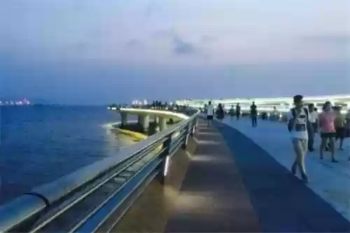 厦门岛内必到十大景点插图4