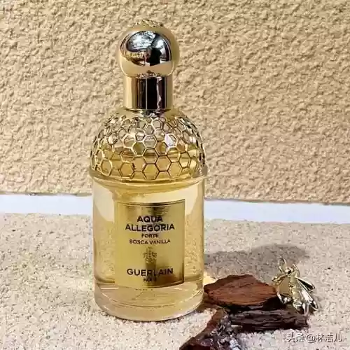 十大木质女士香水插图2