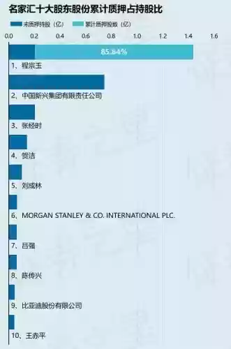 名家汇十大股东