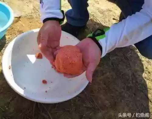 钓鲫鱼饵料十大排名插图2