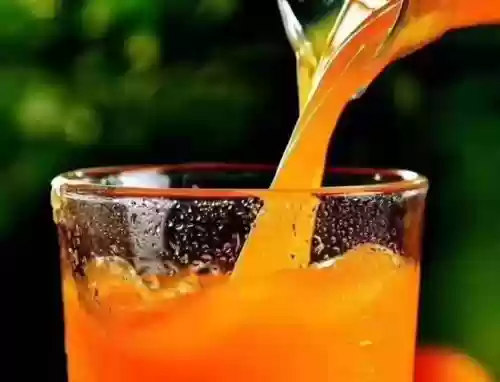 沙棘原果粉的十大功效与作用(沙棘果粉正确使用方法)