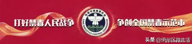 哈密十大美食(敦煌有什么特色美食)插图6