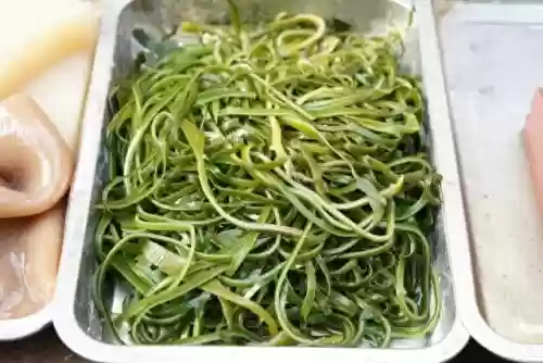 国内十大紫菜(紫菜排行榜前十名)插图