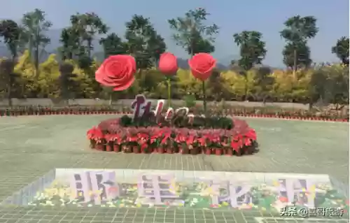 博罗十大景点(博罗附近的景点免费景区)插图8