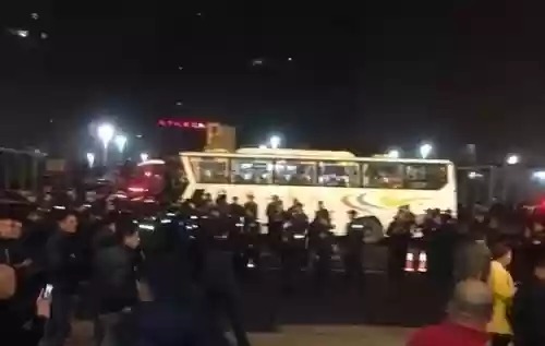 皇家一号十大头牌照片(皇家一号在哪个位置)