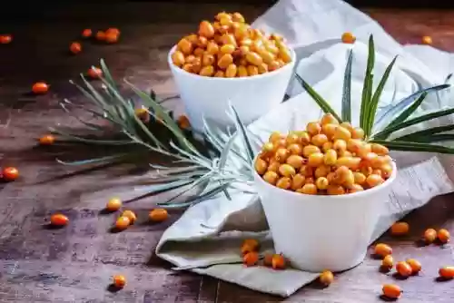 沙棘原果粉的十大功效与作用(沙棘果粉正确使用方法)插图1