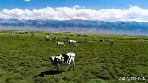 哈密十大景点(哈密旅游景点排名)插图9