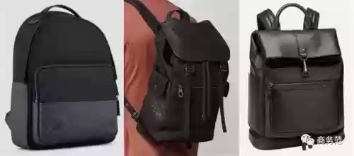 真皮背包十大名牌(真皮手提包有哪些品牌)插图17