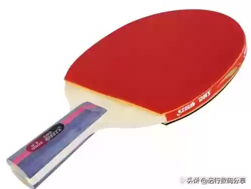 十大乒乓球(世界女乒排名前十名)插图10
