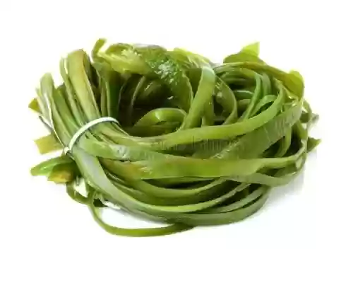 国内十大紫菜(紫菜排行榜前十名)插图1