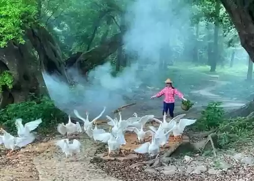 宁德十大景点(宁德一日游必去景点)插图19