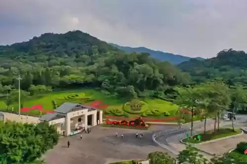 广州十大景区(广州好玩的地方排行榜)插图