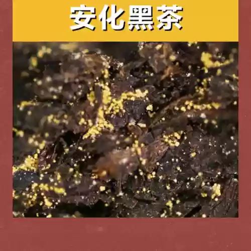 中国十大名茶中最新排名(全国十大名茶最新排名)插图