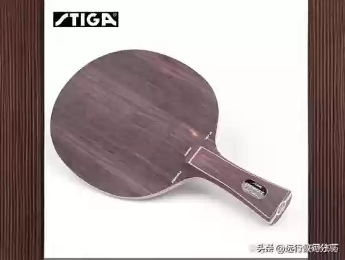 十大乒乓球(世界女乒排名前十名)插图7