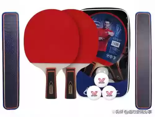 十大乒乓球(世界女乒排名前十名)插图3
