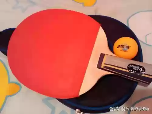十大乒乓球(世界女乒排名前十名)插图11