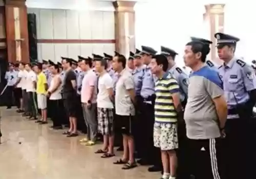 皇家一号十大头牌照片(皇家一号在哪个位置)插图8