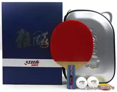 十大乒乓球(世界女乒排名前十名)插图12