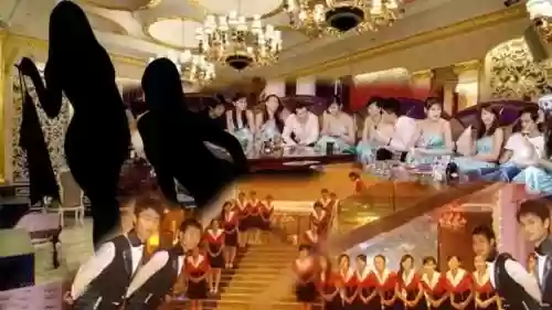 皇家一号十大头牌照片(皇家一号在哪个位置)插图3