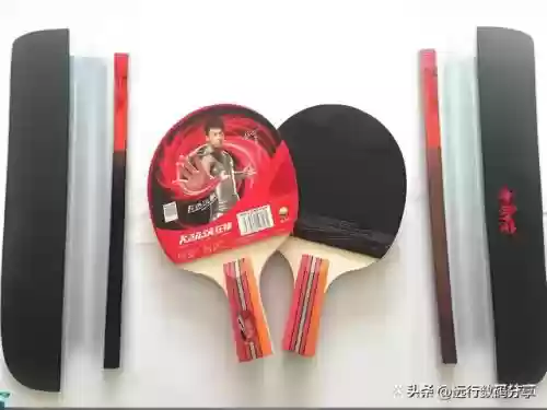 十大乒乓球(世界女乒排名前十名)插图2