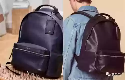 真皮背包十大名牌(真皮手提包有哪些品牌)插图33