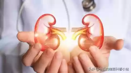 百令胶囊的十大功效与作用(百令胶囊起什么作用)插图2